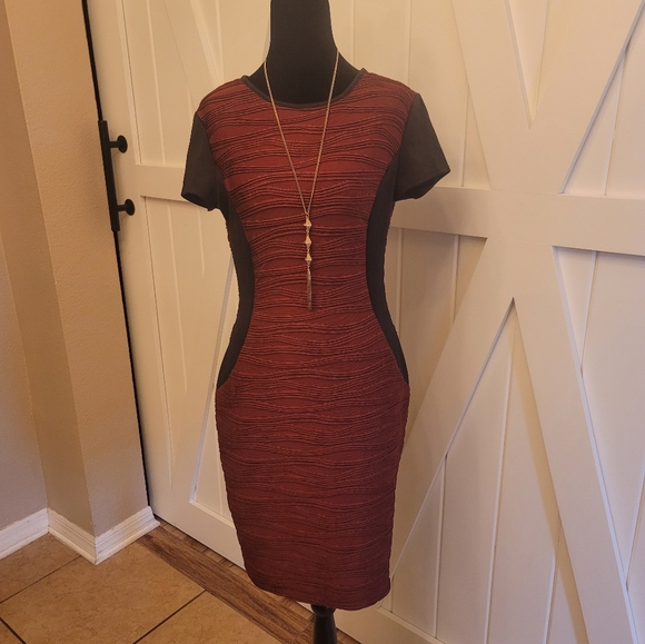 Elegant Red and Black Women's Dress - Picture 1 of 9